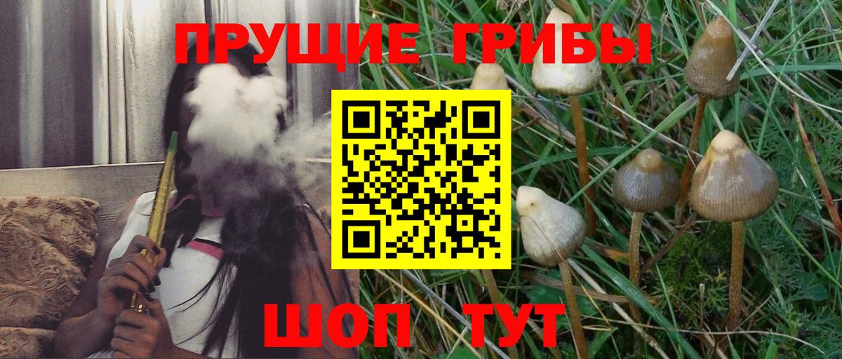 Урюпинск  Галлюциногенные грибы Magic Shrooms  Вход с VPN 