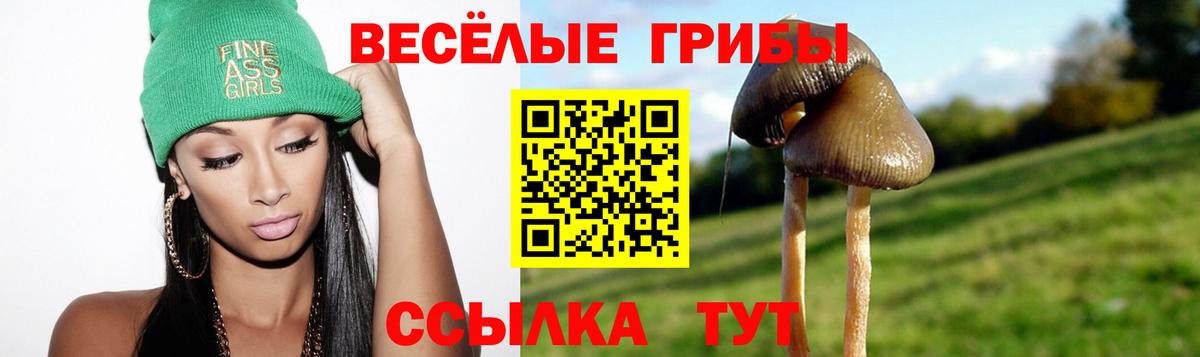 Галлюциногенные грибы MAGIC MUSHROOMS Урюпинск